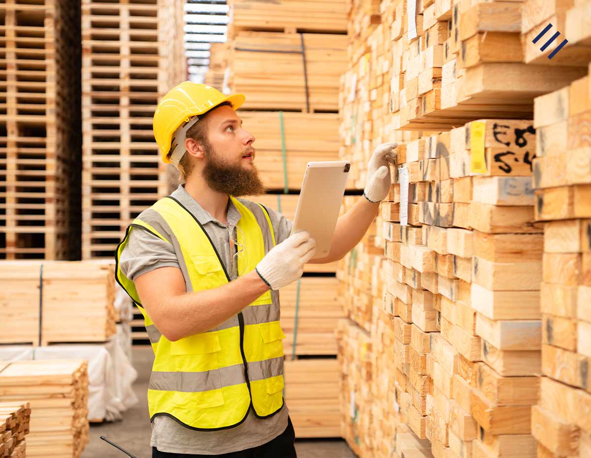 Representação da extração de madeira legal