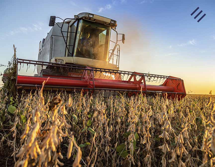 Da safra ao patrimônio: investir em Goiânia com critério | EBM