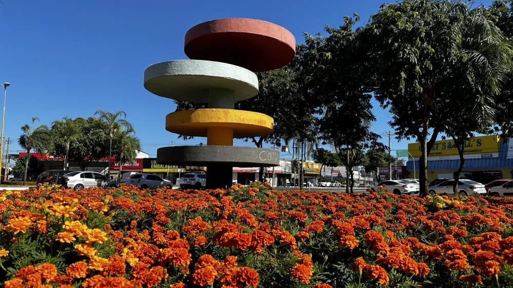 Setor Coimbra Goiânia: vale a pena morar? | EBM