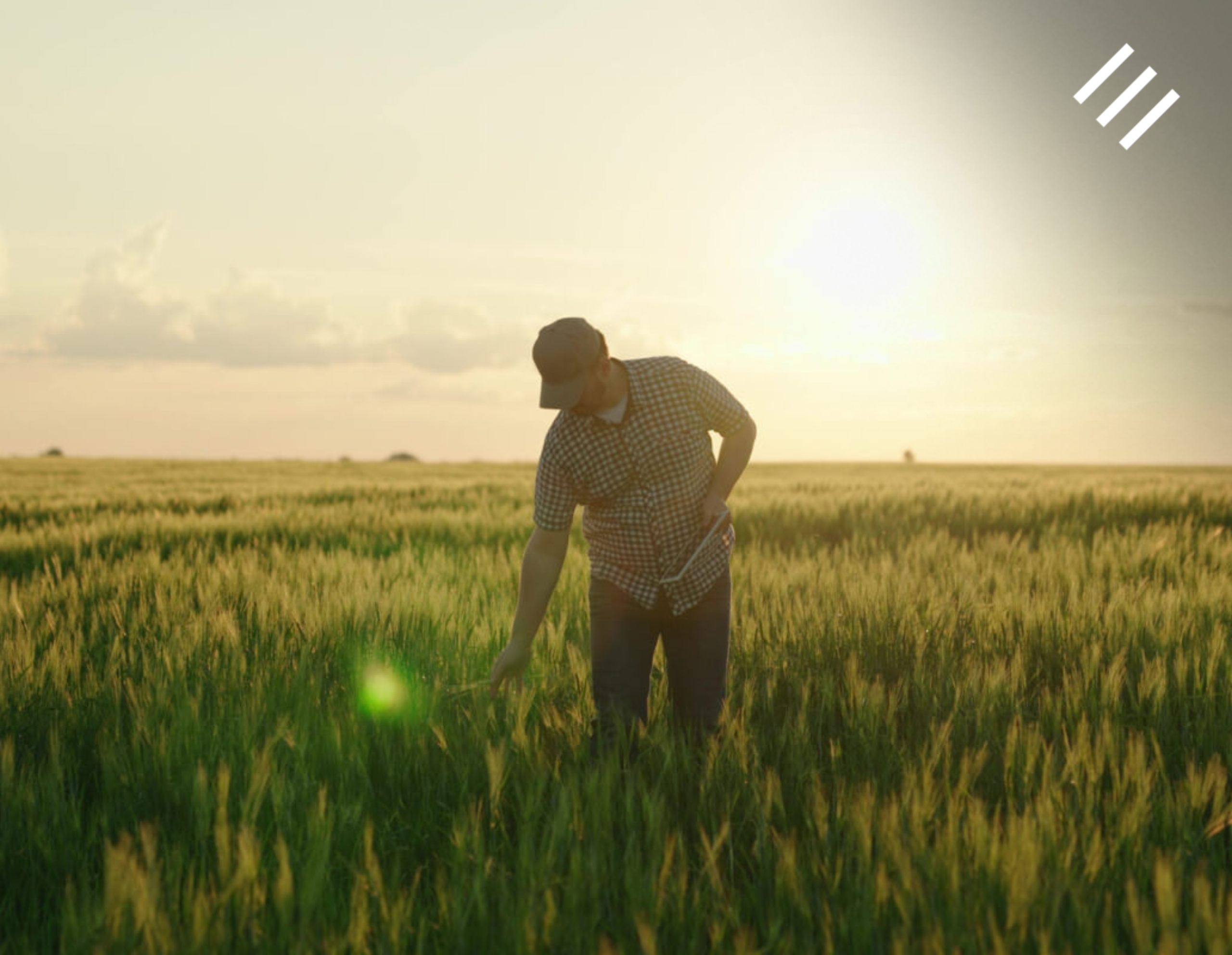 Exemplo de produtor rural em atividade