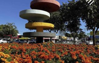 Setor Coimbra Goiânia: vale a pena morar? | EBM