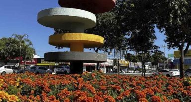 Setor Coimbra Goiânia: vale a pena morar? | EBM