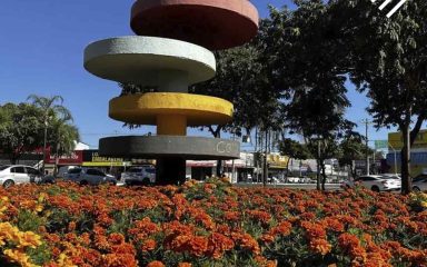 Setor Coimbra Goiânia: vale a pena morar? | EBM