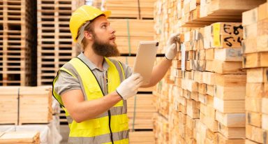 Representação da extração de madeira legal