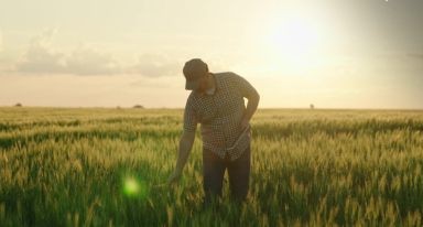 Exemplo de produtor rural em atividade