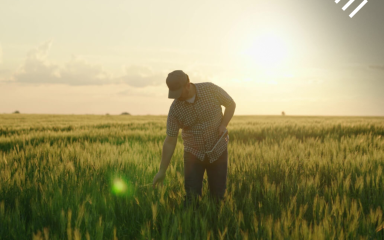 Exemplo de produtor rural em atividade