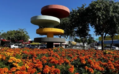 Setor Coimbra Goiânia: vale a pena morar? | EBM