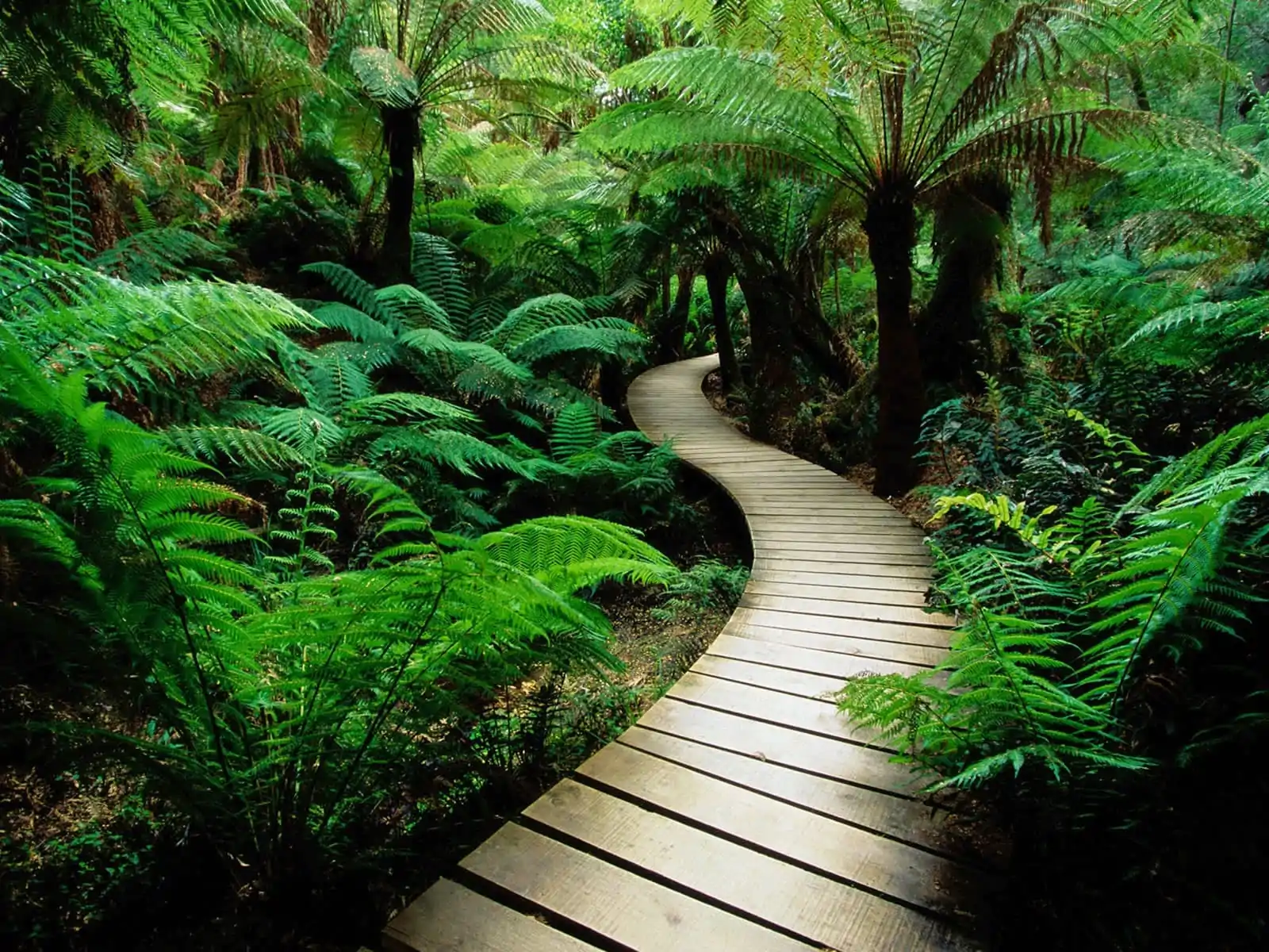 Natureza e integração