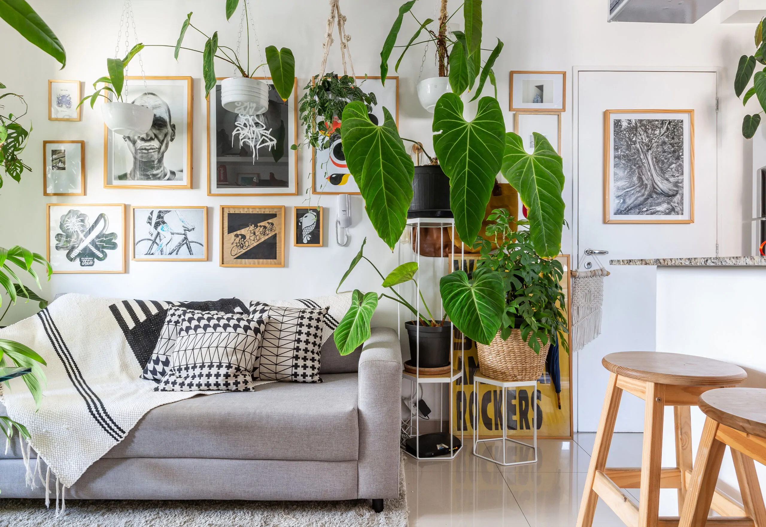 Plantas para apartamento: espécies fáceis de cuidar