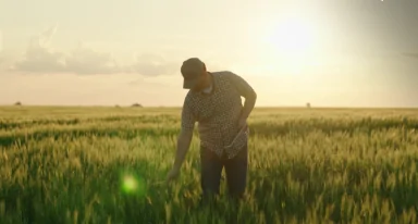 Exemplo de produtor rural em atividade
