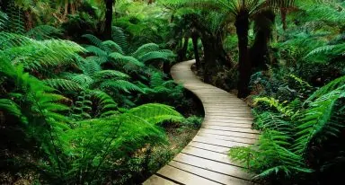 Natureza e integração